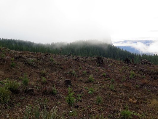 NorthFork road - 17