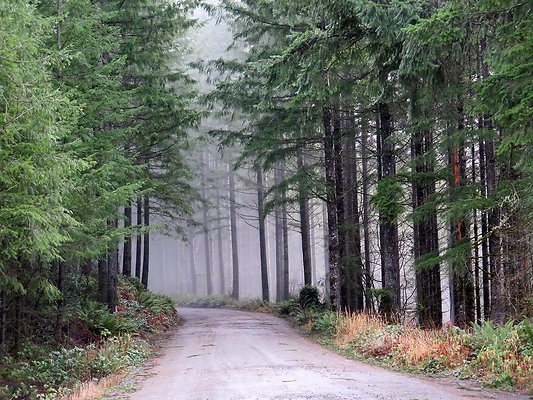 NorthFork road - 36
