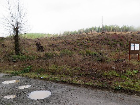 NorthFork road - 2