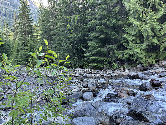 IMG 4984