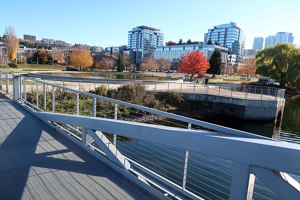 South Lake Union Park - 21