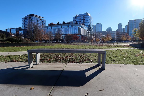 South Lake Union Park - 31