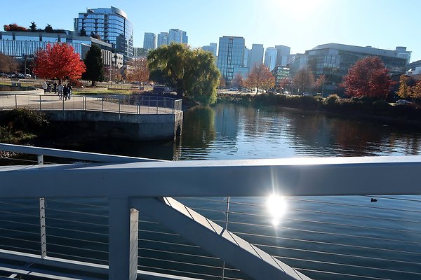 South Lake Union Park - 22