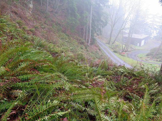 chuckanut mt house - 71
