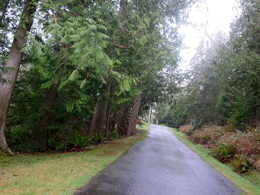 chuckanut mt house - 5