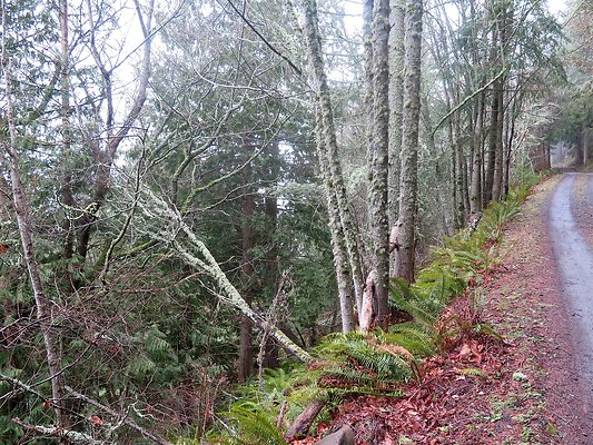 chuckanut mt house - 19