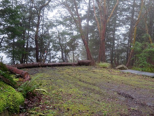 chuckanut mt house - 28