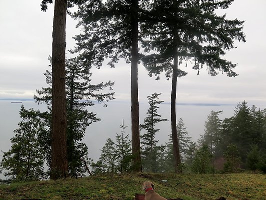 chuckanut mt house - 159
