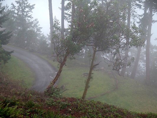 chuckanut mt house - 131