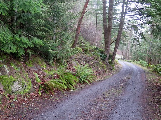 chuckanut mt house - 16