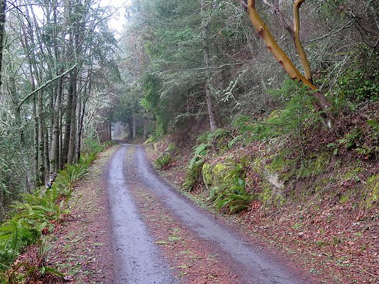 chuckanut mt house - 21