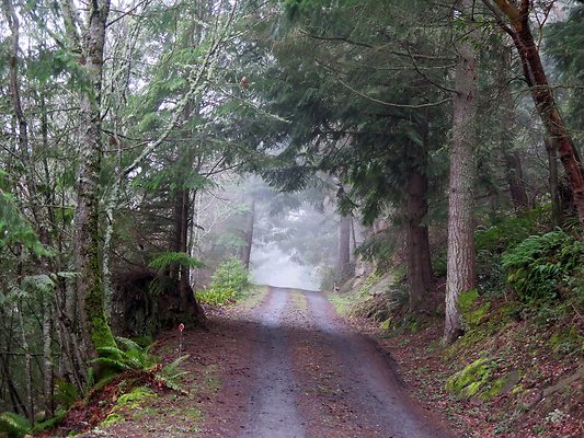 chuckanut mt house - 24