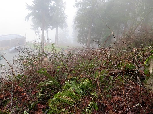 chuckanut mt house - 73
