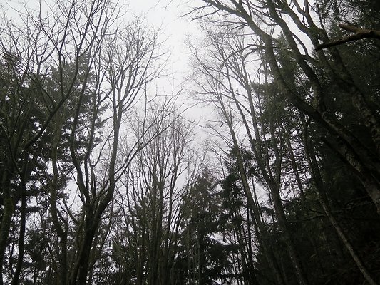 chuckanut mt house - 34