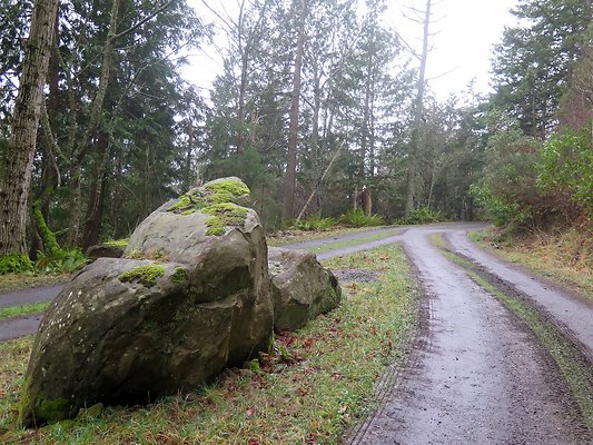chuckanut mt house - 12