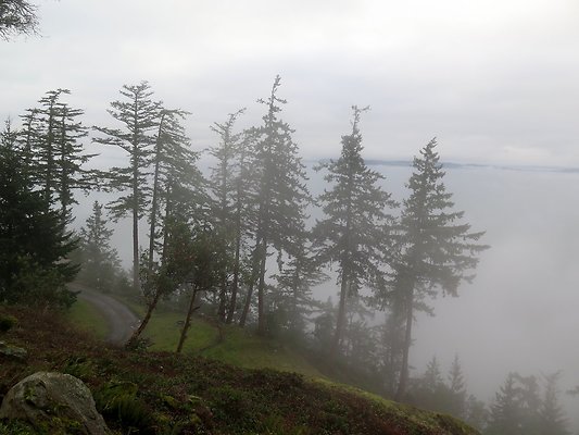 chuckanut mt house - 127