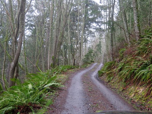 chuckanut mt house - 32