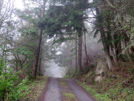 chuckanut mt house - 26