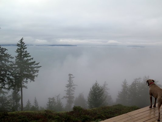 chuckanut mt house - 124