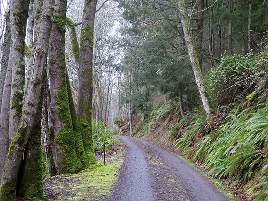 chuckanut mt house - 35