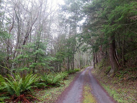 chuckanut mt house - 30