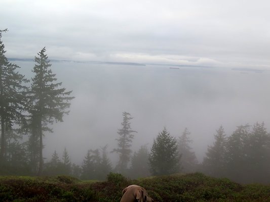 chuckanut mt house - 128