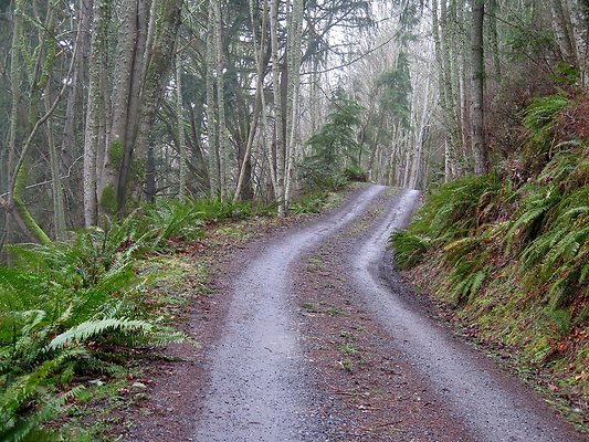 chuckanut mt house - 33