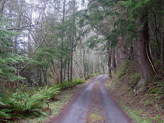 chuckanut mt house - 31
