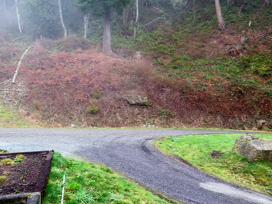 chuckanut mt house - 95