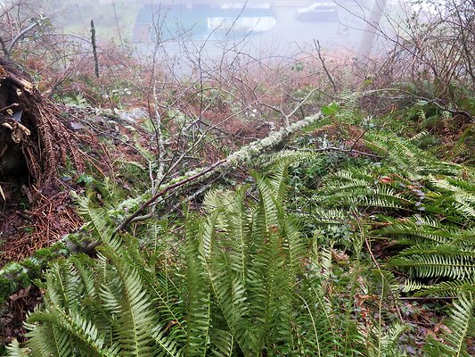 chuckanut mt house - 68