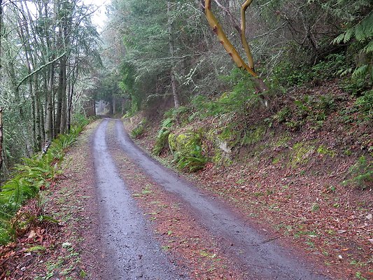 chuckanut mt house - 20