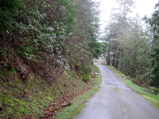chuckanut mt house - 7