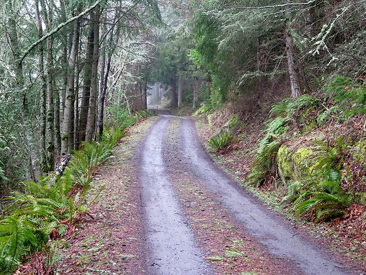 chuckanut mt house - 22