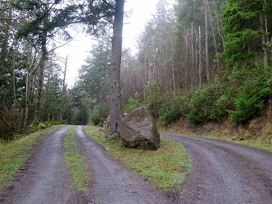 chuckanut mt house - 11