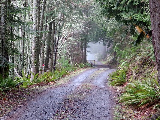 chuckanut mt house - 15