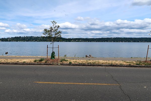 Lake Washington Blvd Waterside road 2025 - 15