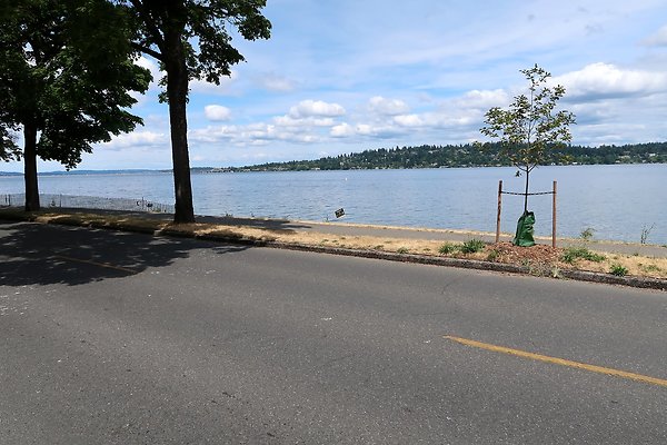 Lake Washington Blvd Waterside road 2025 - 14