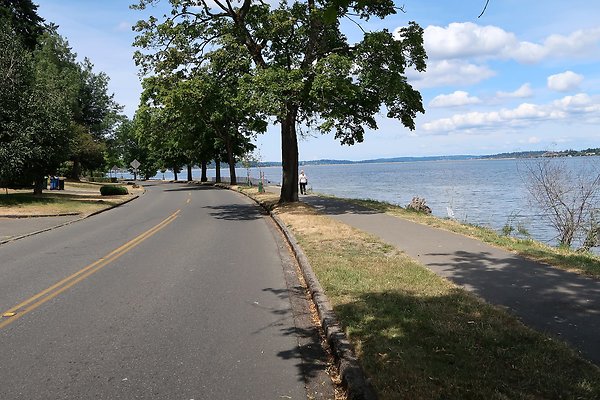 Lake Washington Blvd Waterside road 2025 - 25