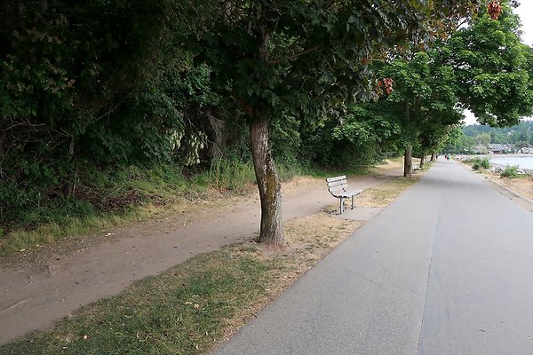 Lincoln Park Waterside road 2025 - 95
