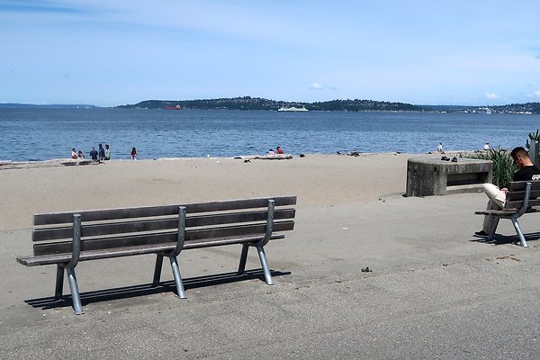 Alki Ave waterside road 2025 - 37