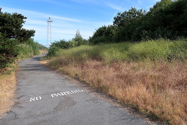 DiscoveryParkRoad Lighthouse2025 - 12