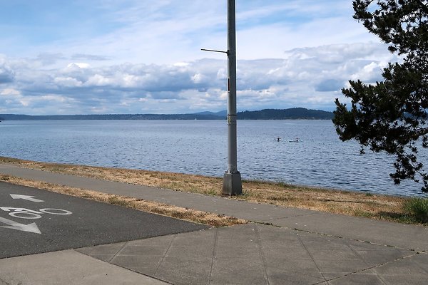Alki Ave waterside road 2025 - 59