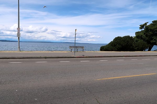 Alki Ave waterside road 2025 - 87