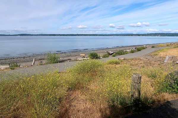 DiscoveryParkRoad Lighthouse2025 - 55