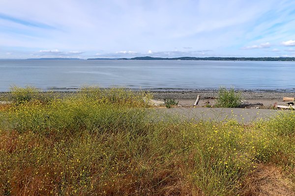 DiscoveryParkRoad Lighthouse2025 - 54