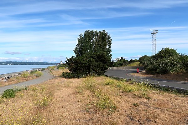DiscoveryParkRoad Lighthouse2025 - 20