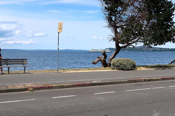 Alki Ave waterside road 2025 - 73