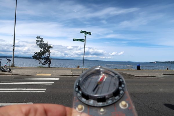 Alki Ave waterside road 2025 - 50