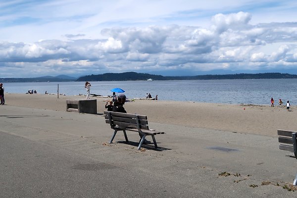 Alki Ave waterside road 2025 - 35