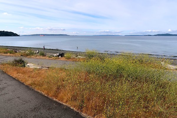 DiscoveryParkRoad Lighthouse2025 - 53